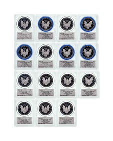 PCGS PR-70 DCAM Silver Eagle Collection