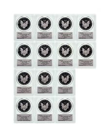 PCGS PR-70 DCAM Silver Eagle Collection