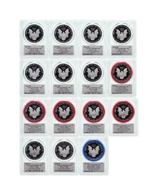 PCGS PR-70 DCAM Silver Eagle Collection