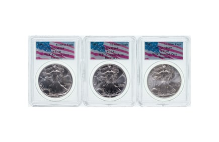 PCGS WTC Ground Zero $1 Silver Eagle Collection