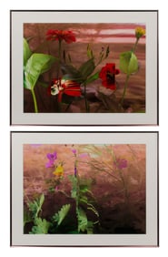 Bruce Checefsky (American, b.1957) Silver Halide C-Prints