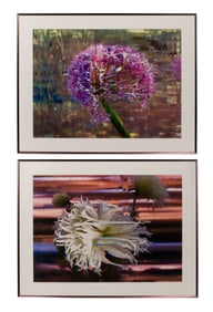 Bruce Checefsky (American, b.1957) Silver Halide C-Prints