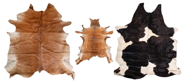 Cow and Deer Pelt Assortment