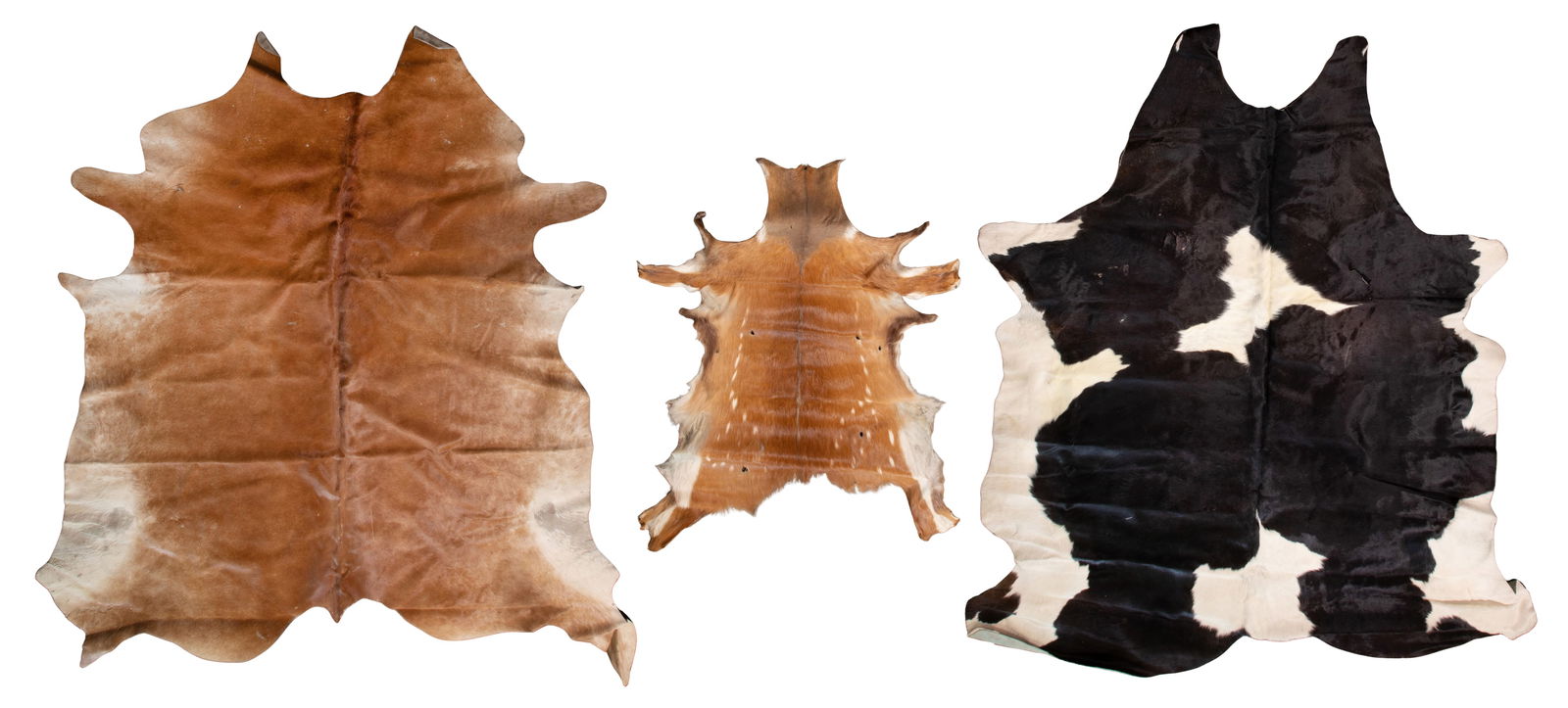 Cow and Deer Pelt Assortment (1 of 1)