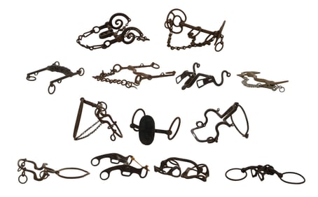 Bridle Bit Assortment