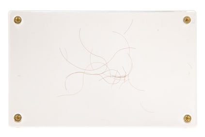 Geronimo (Apache, 1829-1909) Hair Specimen