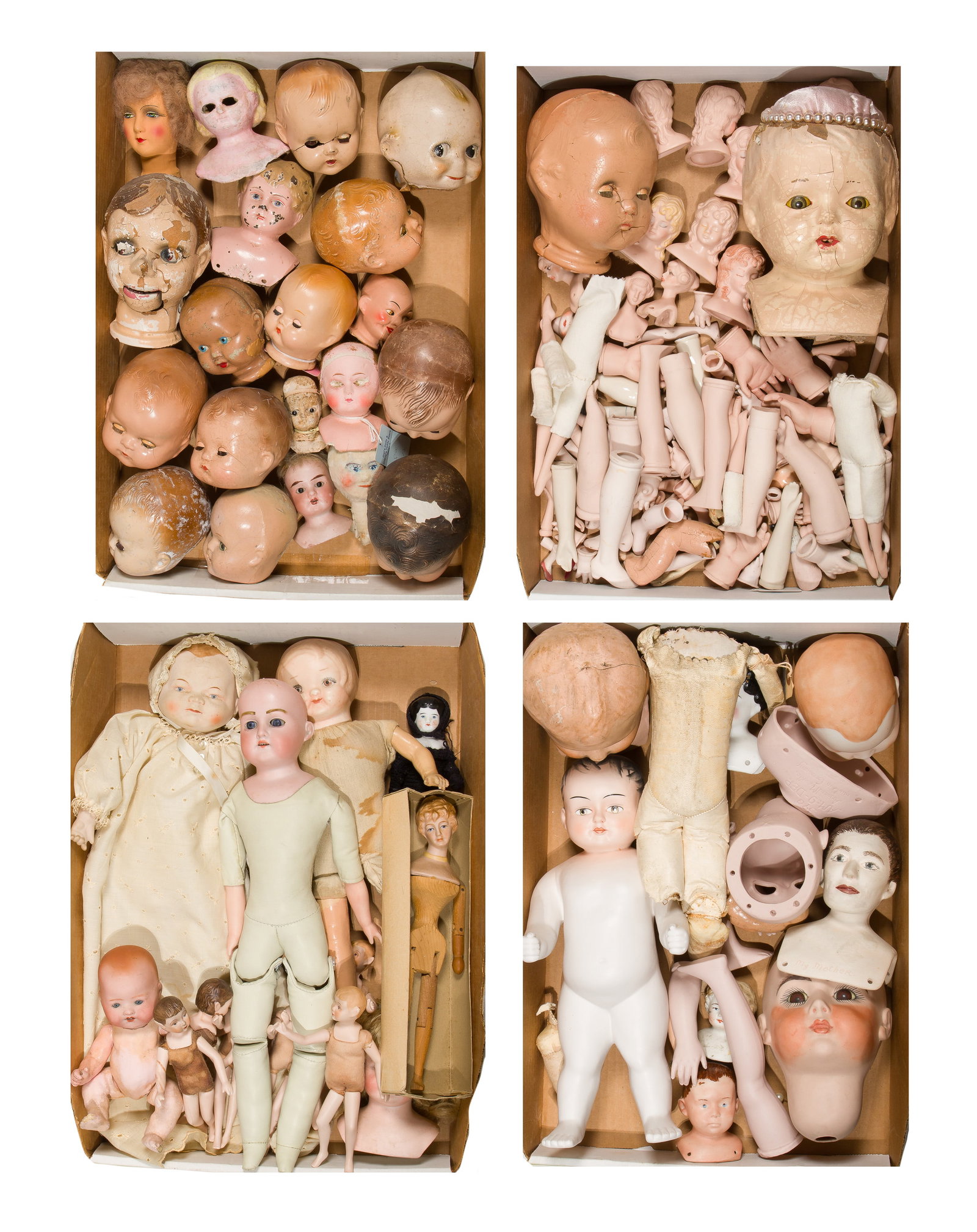 Doll Part Assortment (1 of 1)