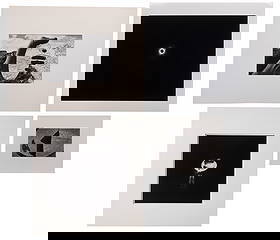 Joseph Jachna (American, 1935-2016) Photograph Assortment: Joseph Jachna (American, 1935-2016) Photograph Assortment (4) total items, (2) signed, including an image of an eclipse (loose sheet) and an image of a night fire in a metal drum (matted) as well as (