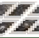 James Turrell (American, b.1943) 'Roden Crater Suite' Lithograph Assortment