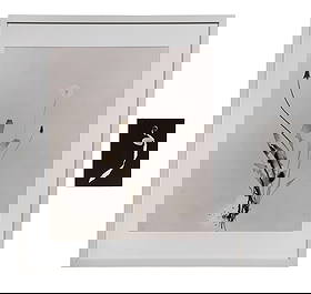 Floris Michael Neususs (German, 1937-2020) Photograms: Floris Michael Neususs (German, 1937-2020) Photograms (2) items including an undated and unsigned photogram of a dandelion created without a camera by placing the object directly on a photosensitive s