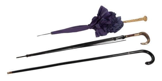 Umbrella and Walking Stick Assortment