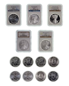 American Eagle $1 Collection