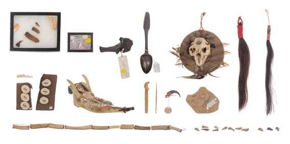 Native American Object Assortment