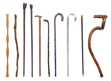 Cane and Walking Stick Assortment