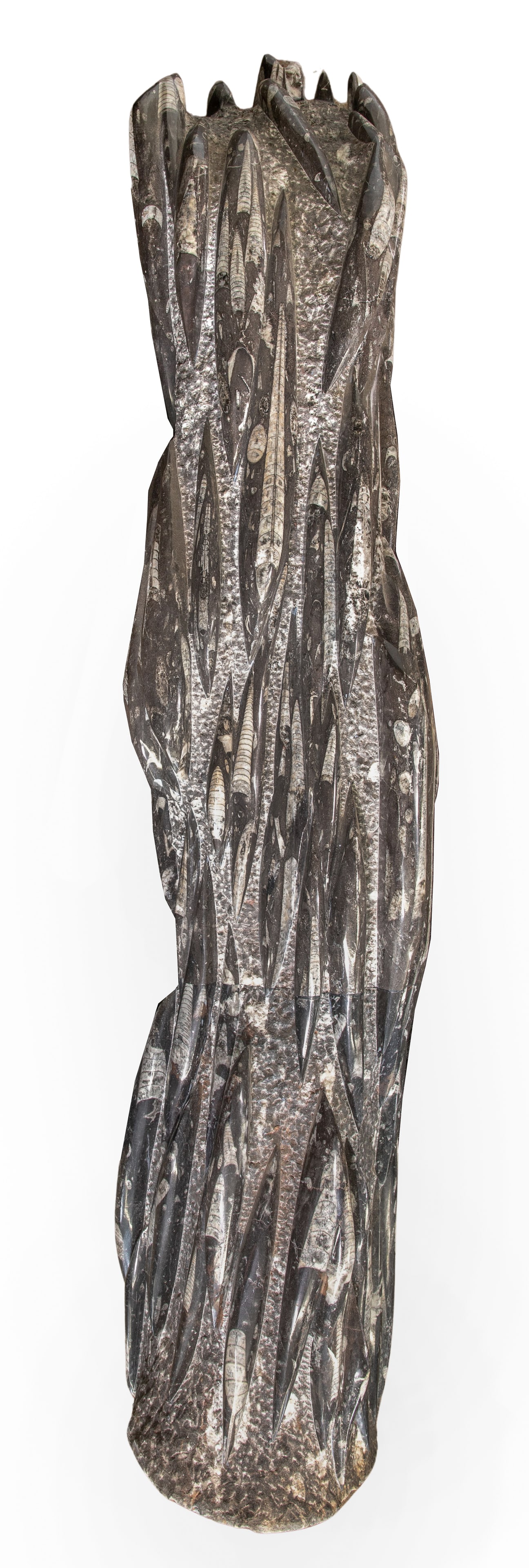 Orthoceras Fossil Specimen: Orthoceras Fossil Specimen Sculpture made of carved and polished Orthoceras fossils Property from: an Estate, Mt. Horeb, Wisconsin Height: 51 inches, Width: 9 inches, Depth: 9 1/2 inches 