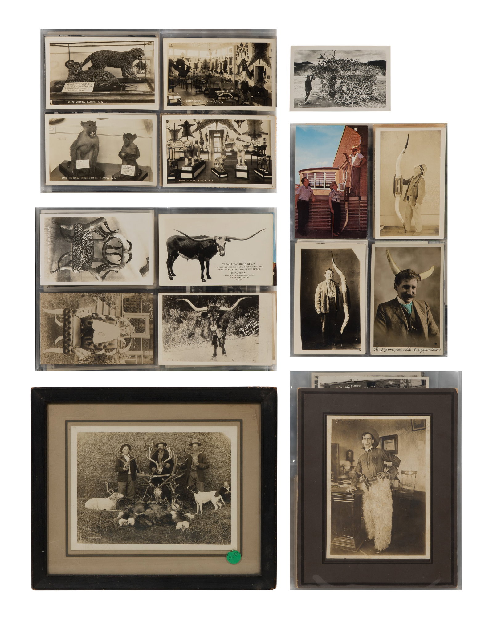 Western, Hunting and Taxidermy Photographic Assortment: Western, Hunting and Taxidermy Photographic Assortment Approximately (80) items including cabinet cards, cartes de visite, stereoviews, postcards and snapshots in three binders labeled 'Cowboy -