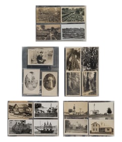 Botanical, Topiary and Agriculture Photographic Assortment