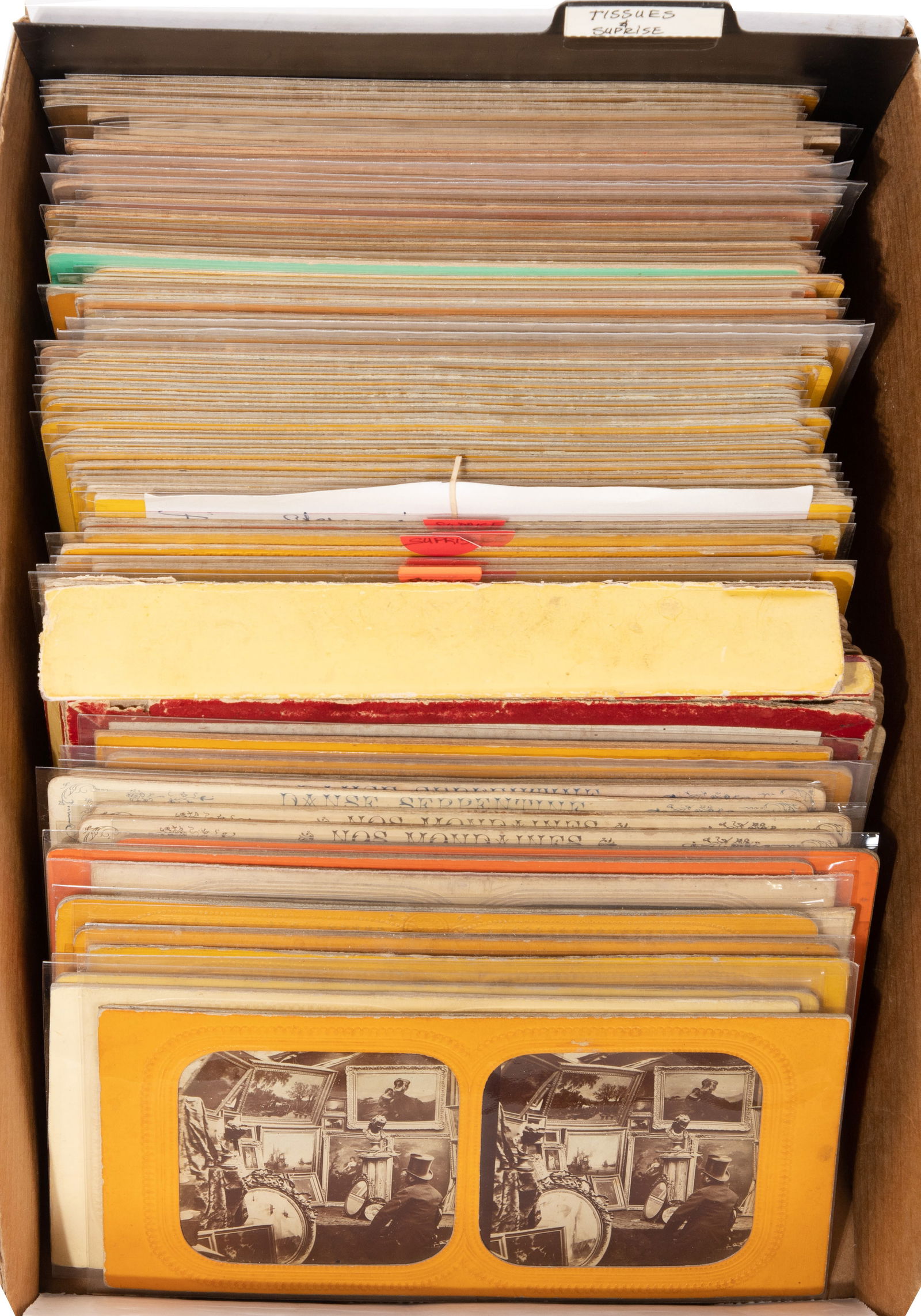 Tissue Stereoview Assortment - 2