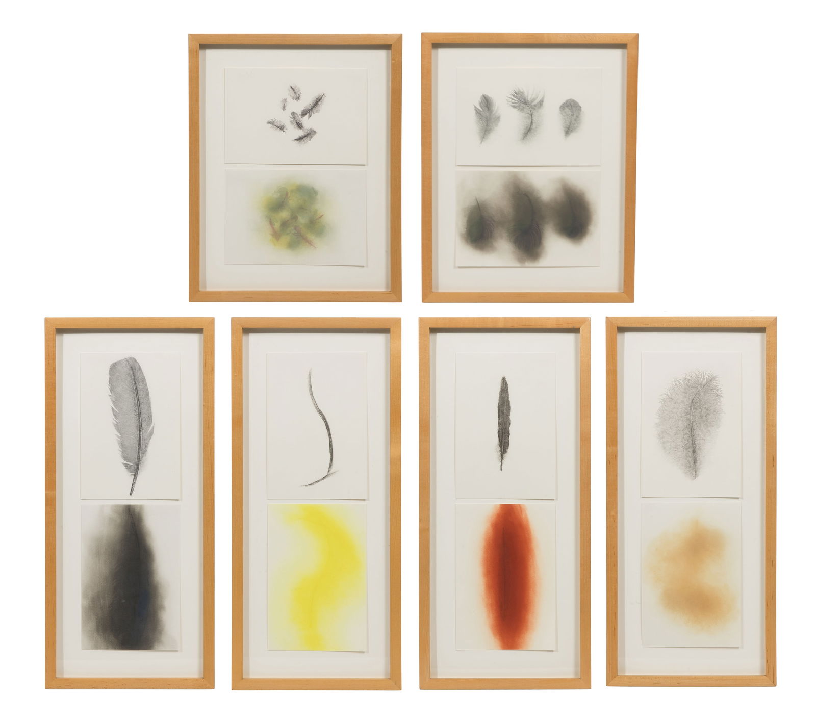 Attributed to Sandy Gellis (American, 20th Century) 'The Bird Project: Northeastern Bird Series' (1 of 1)