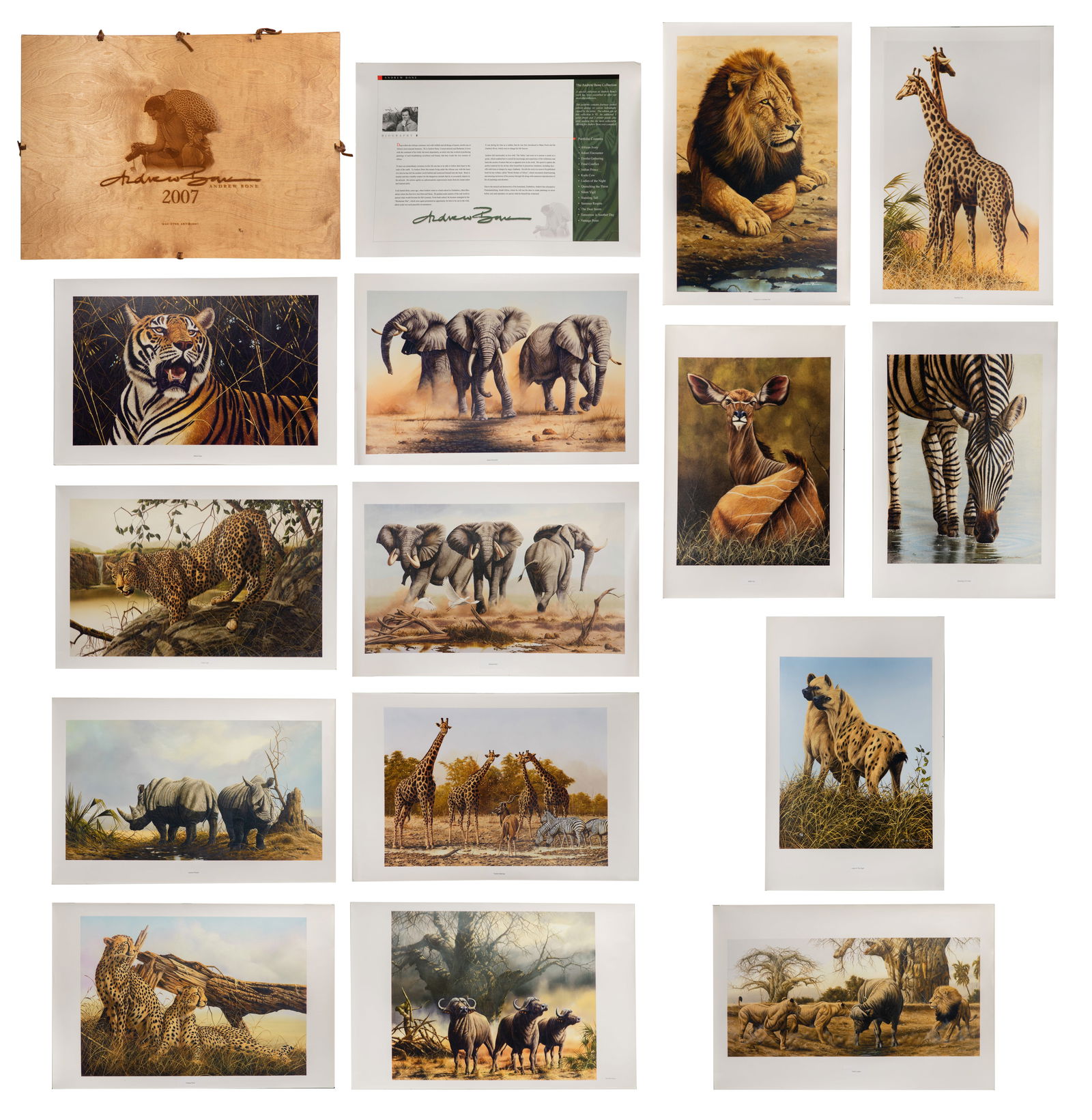 Andrew Bone (English, b.1957) 'The Andrew Bone Collection' Partial Portfolio: Andrew Bone (English, b.1957) 'The Andrew Bone Collection' Partial Portfolio 2007, including (13) giclee on canvas, hand signed and numbered, depicting animals and a title page, housed between wooden