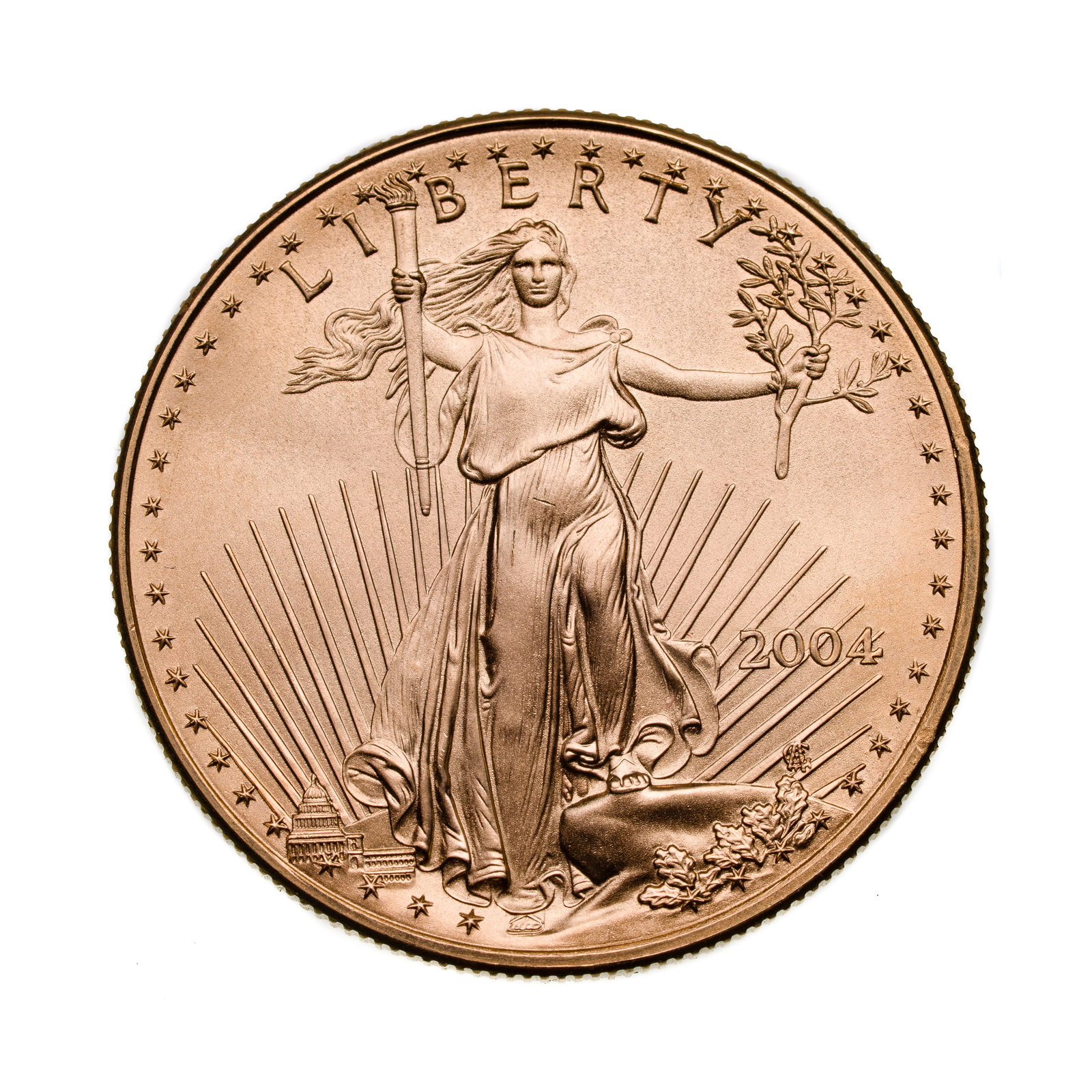 2004 $50 American Eagle Gold: 2004 $50 American Eagle Gold Property from: an Estate, Wilmette, Illinois Category: Bullion Coins > Gold Bullion Estimated Sale Time: 4:29 pm CST Shipping Status: Shipping Quote 