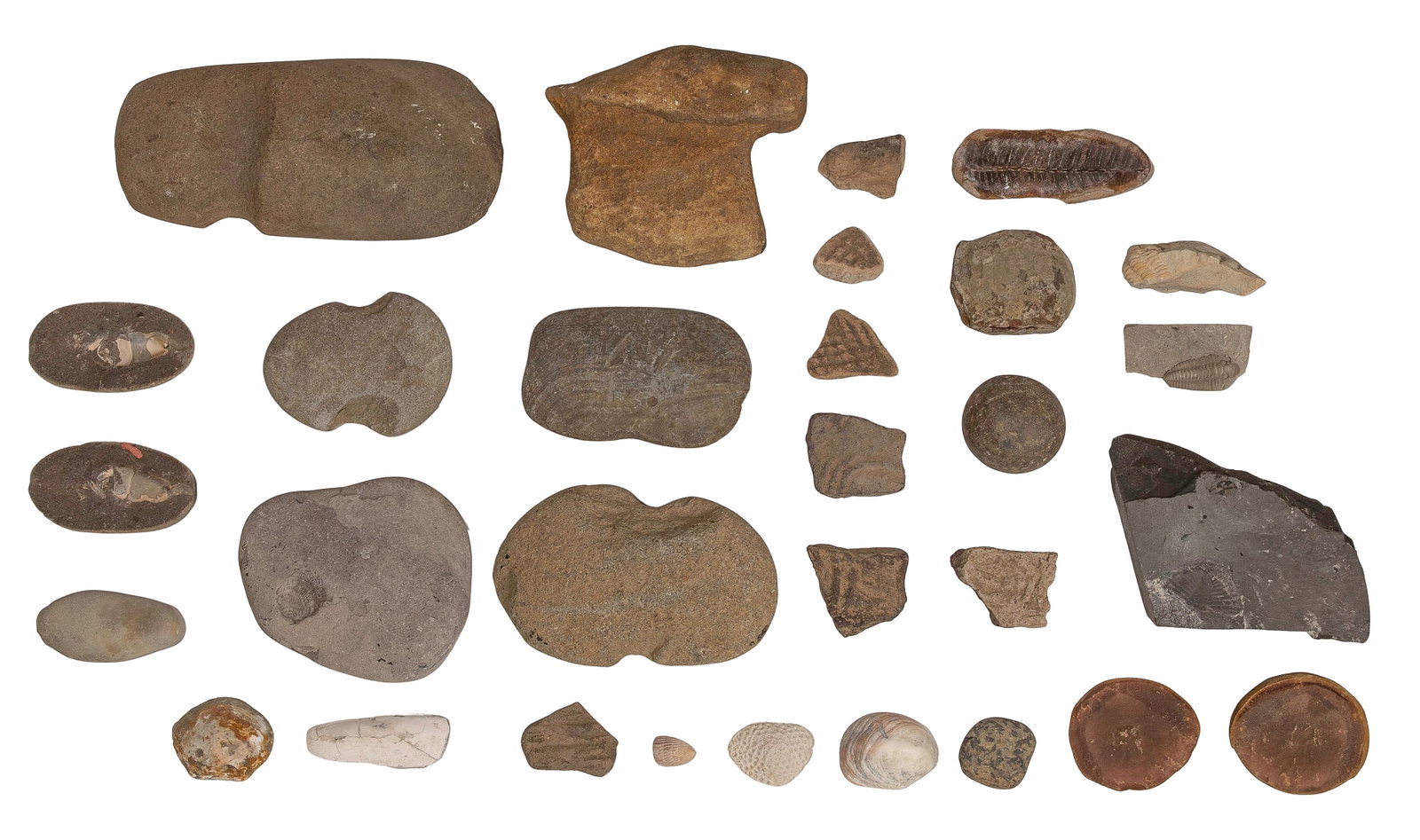Fossil and Stone Assortment: Fossil and Stone Assortment Including fossils and mineral specimens Property from: an Estate, Glen Ellyn, Illinois Length: 4 inches, Width: 3 inches (average) Condition: overall light wear consistent