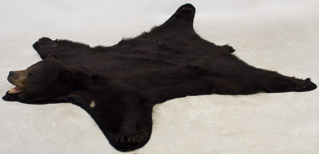 Bear Rug: Bear Rug Genuine black bear rug with black wool lining and wood mounted head Height: 8.00 inches, Length: 72.00 inches, Width: 67.00 inches Category: Sporting Goods > Taxidermy Shipping Status: 3rd Pa