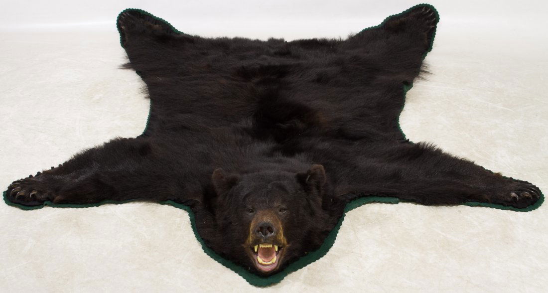 Black Bear Rug