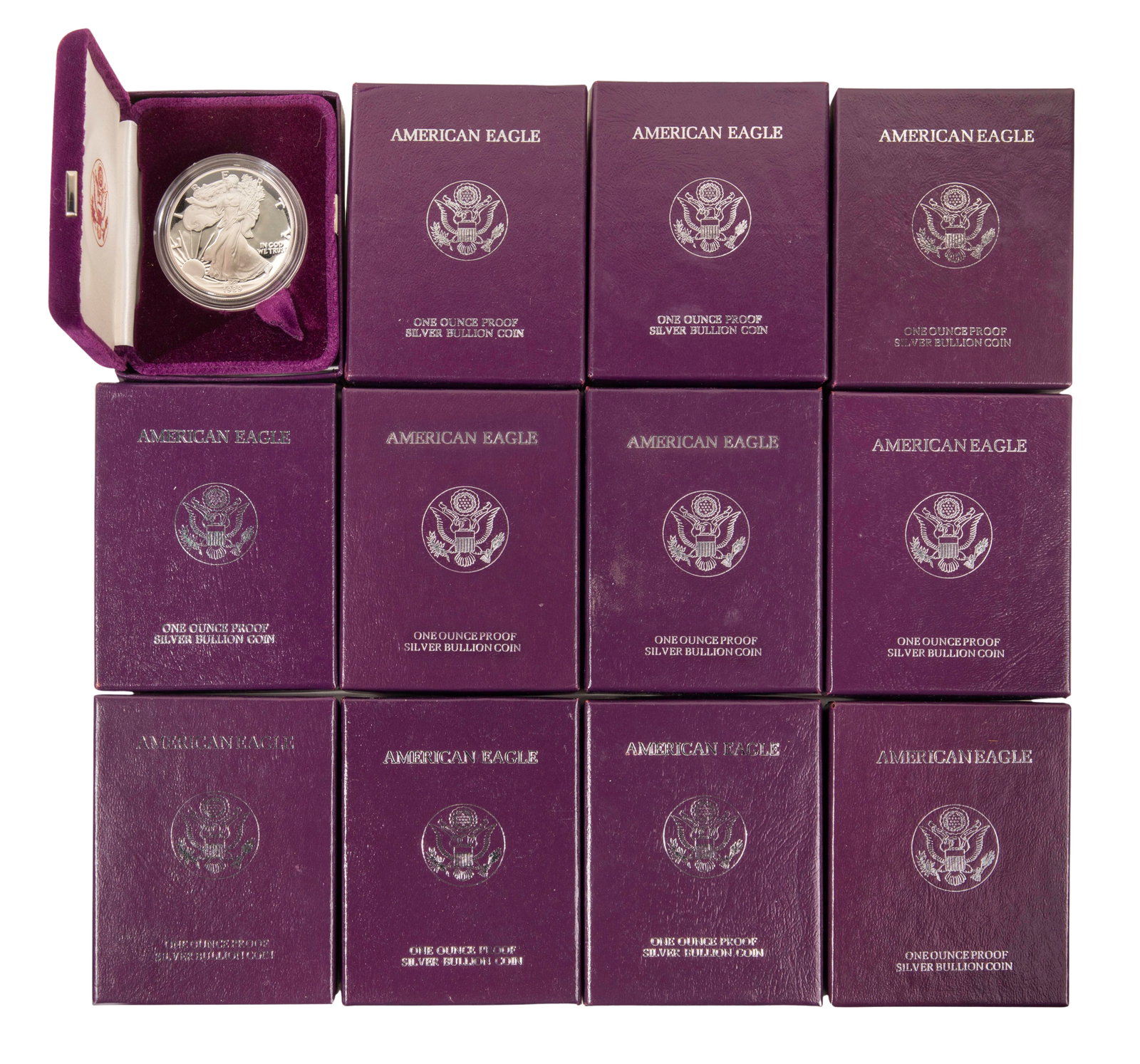 American Eagle $1 Assortment: American Eagle $1 Assortment (12) coins, in presentation boxes Property from: a Private Collector, River Grove, Illinois Category: Bullion Coins > Silver Bullion Estimated Sale Time: 2:21 pm CST