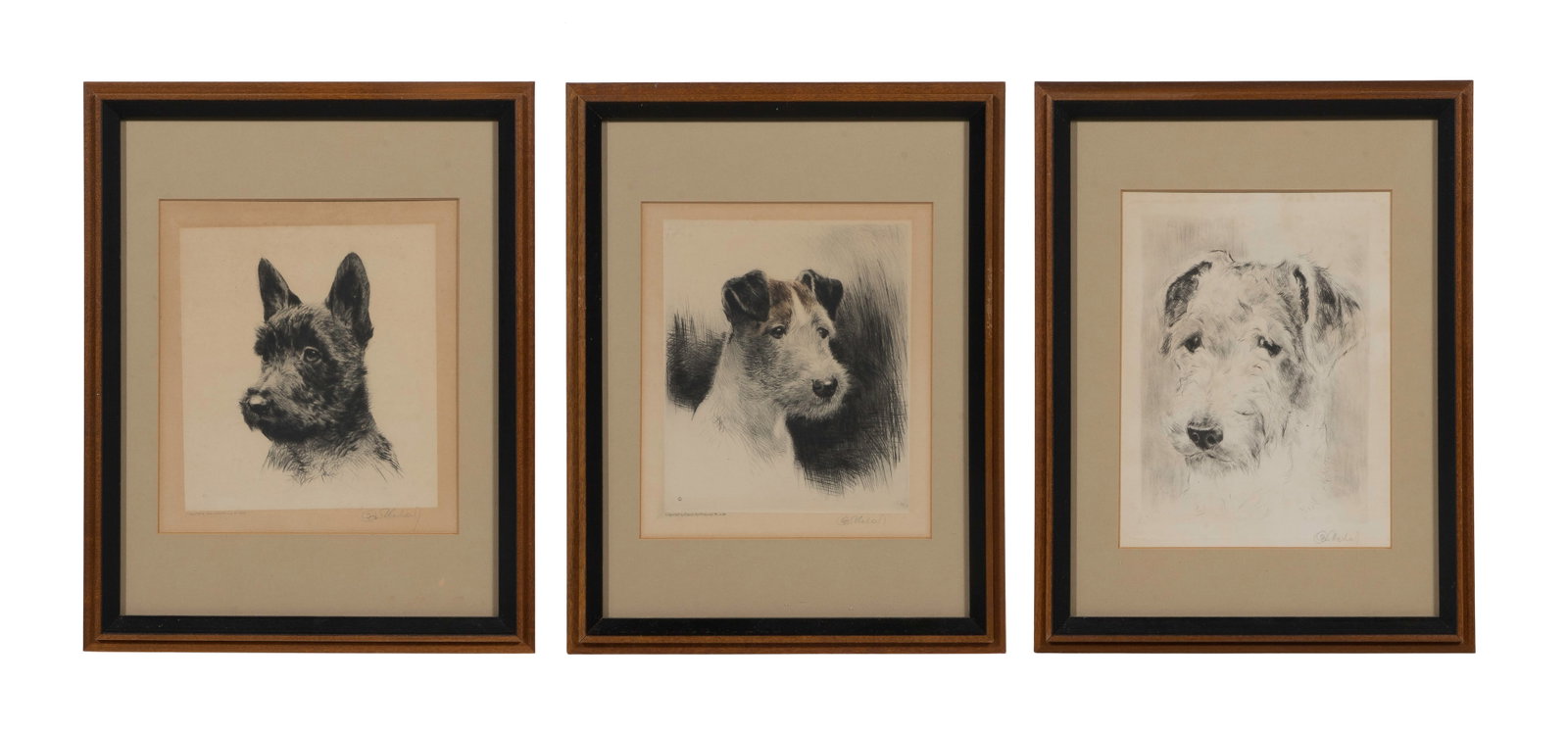 Kurt Meyer Eberhardt (German, 1895-1977) Etching Assortment: Kurt Meyer Eberhardt (German, 1895-1977) Etching Assortment (3) items, all portraits of dogs including (2) Wire Fox Terriers and a Scottish Terrier, all pencil signed, one having printed publisher mar