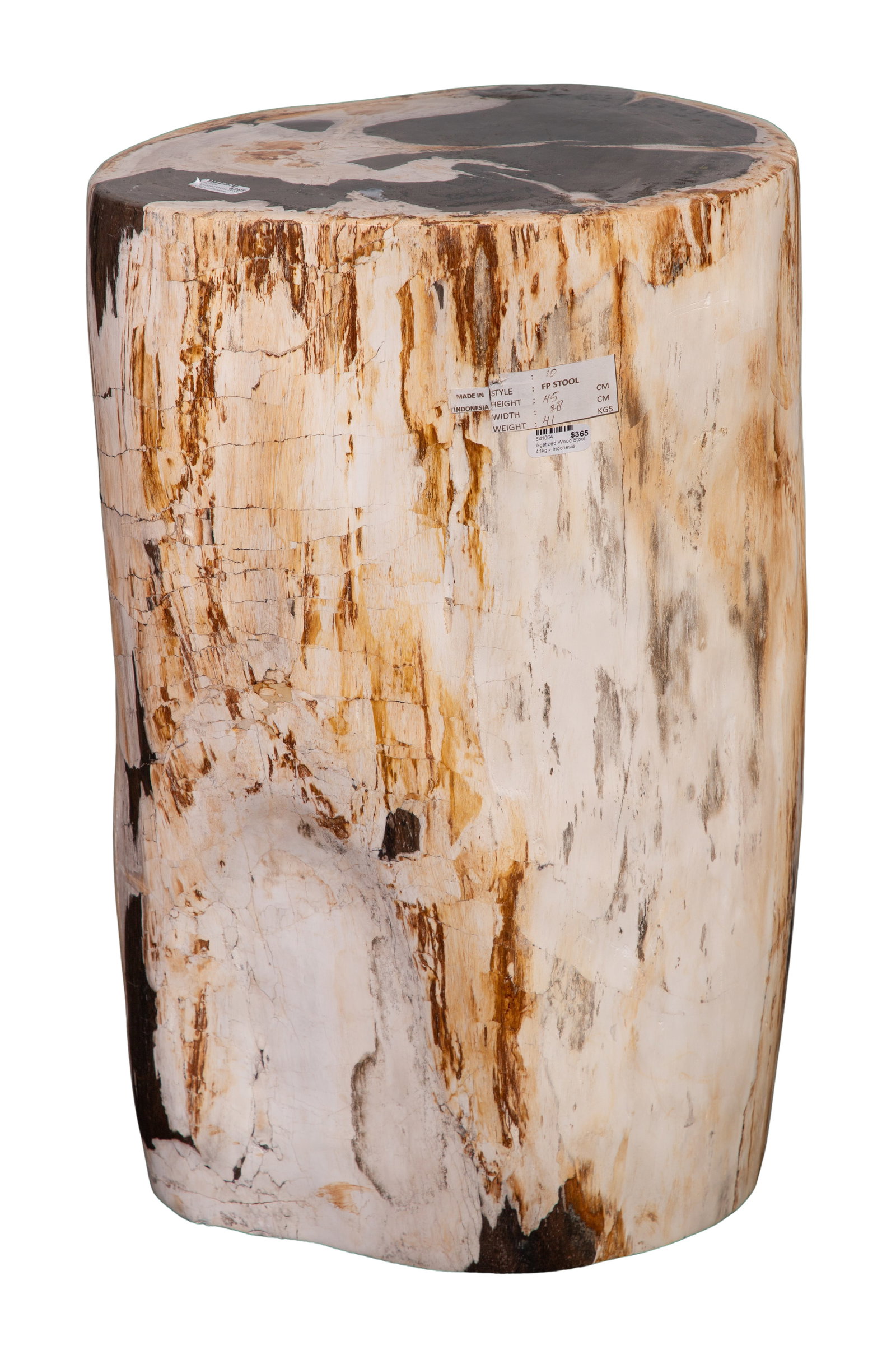 Petrified Wood Stool (1 of 4)