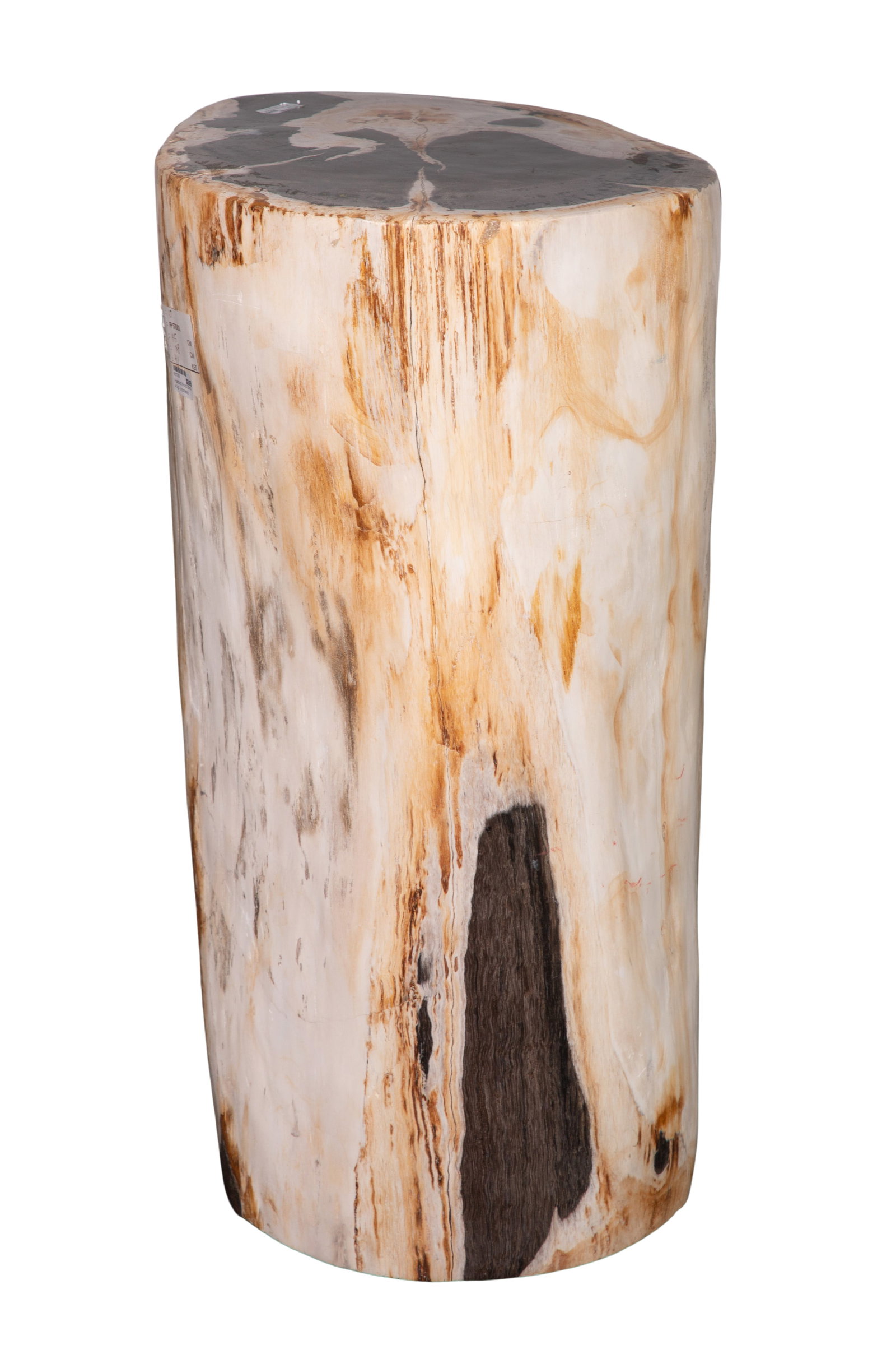 Petrified Wood Stool - 2
