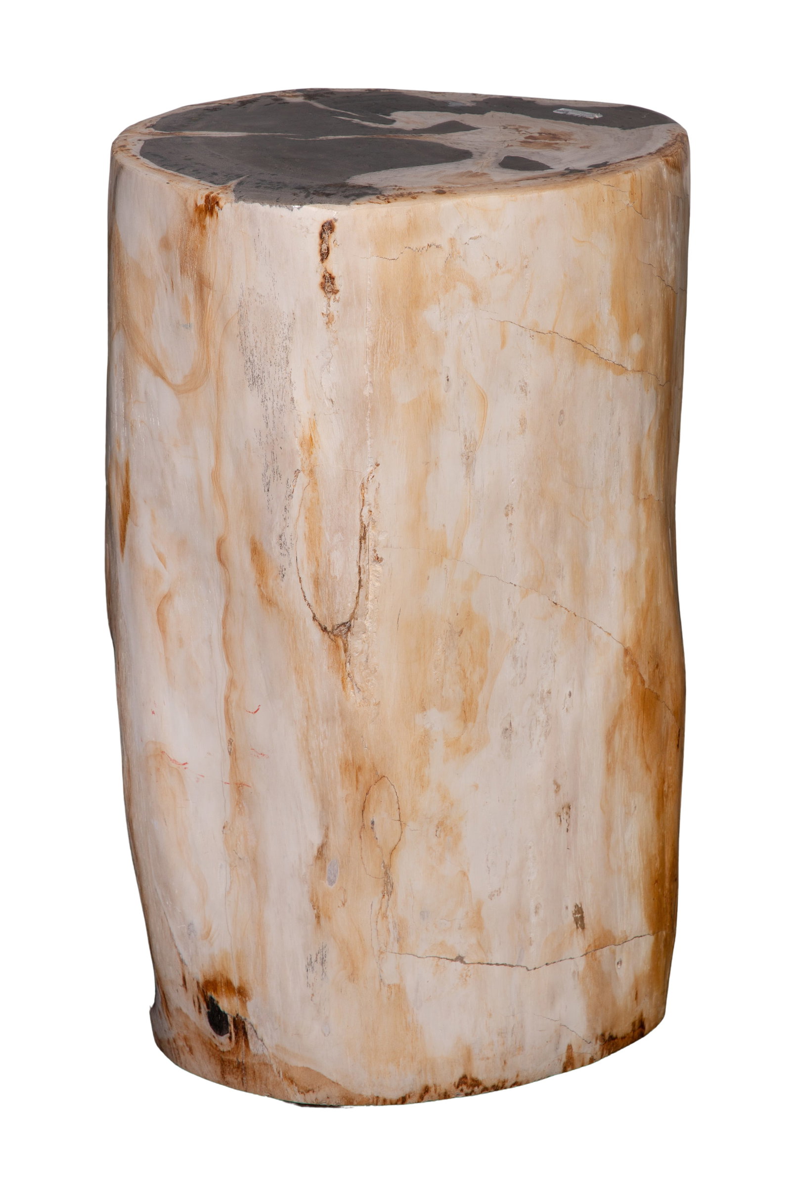 Petrified Wood Stool - 3