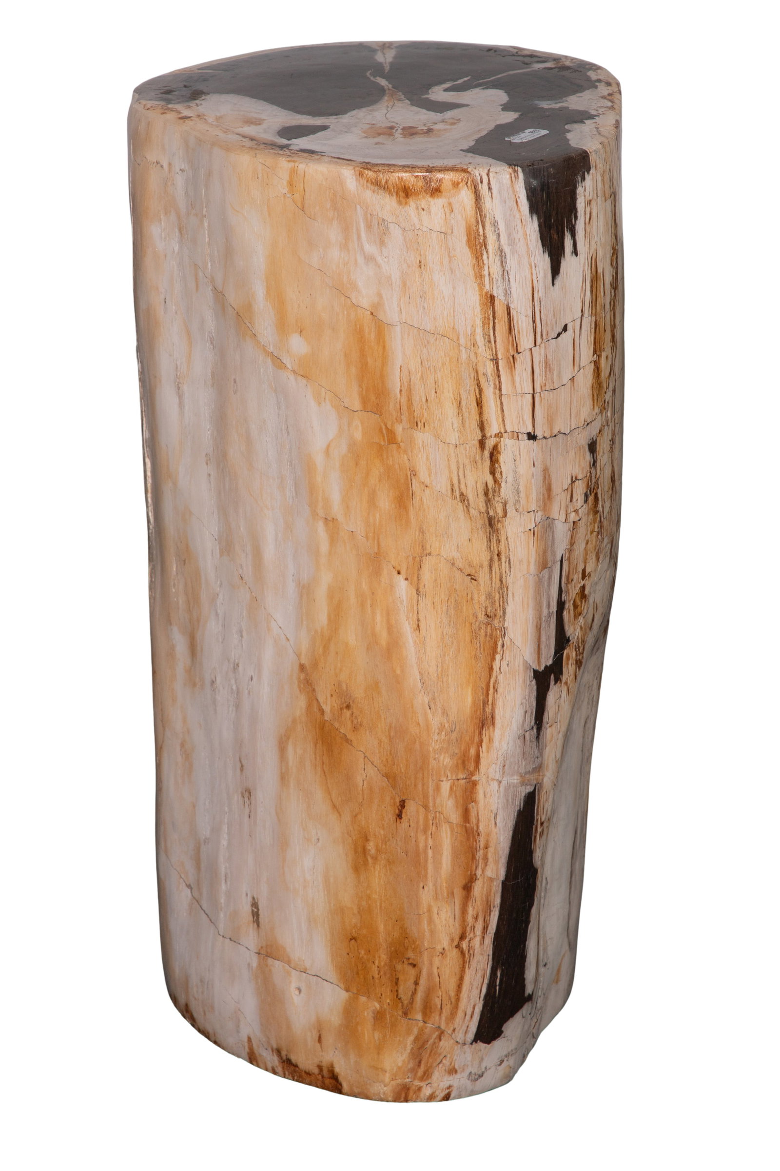 Petrified Wood Stool - 4