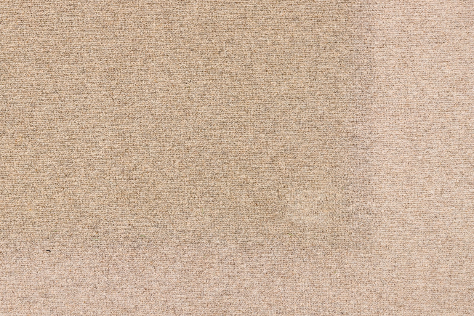 Stark Wool Carpet - 4