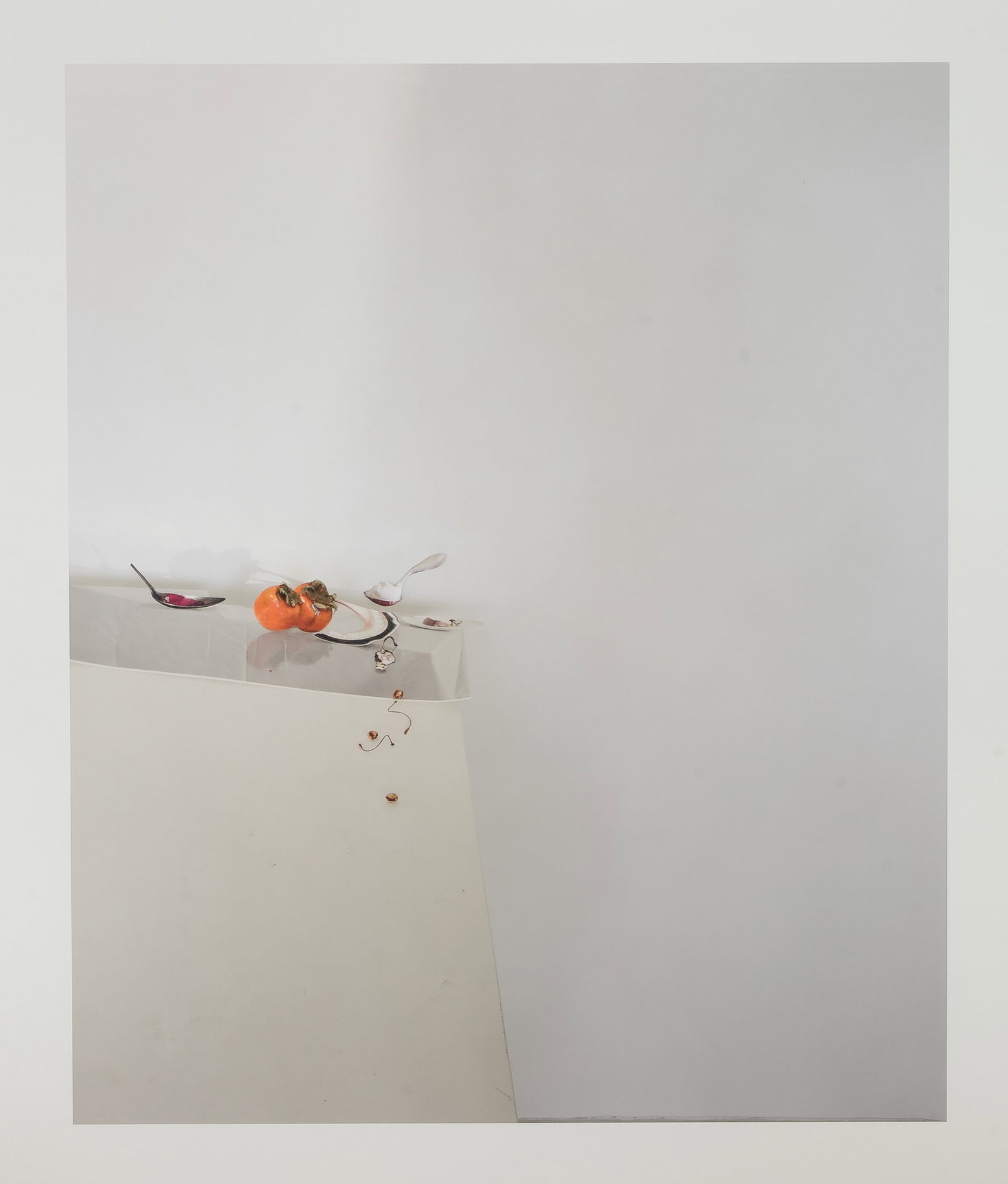 Laura Letinsky (American, b.1962) 'Untitled #12' Pigment Print (1 of 5)