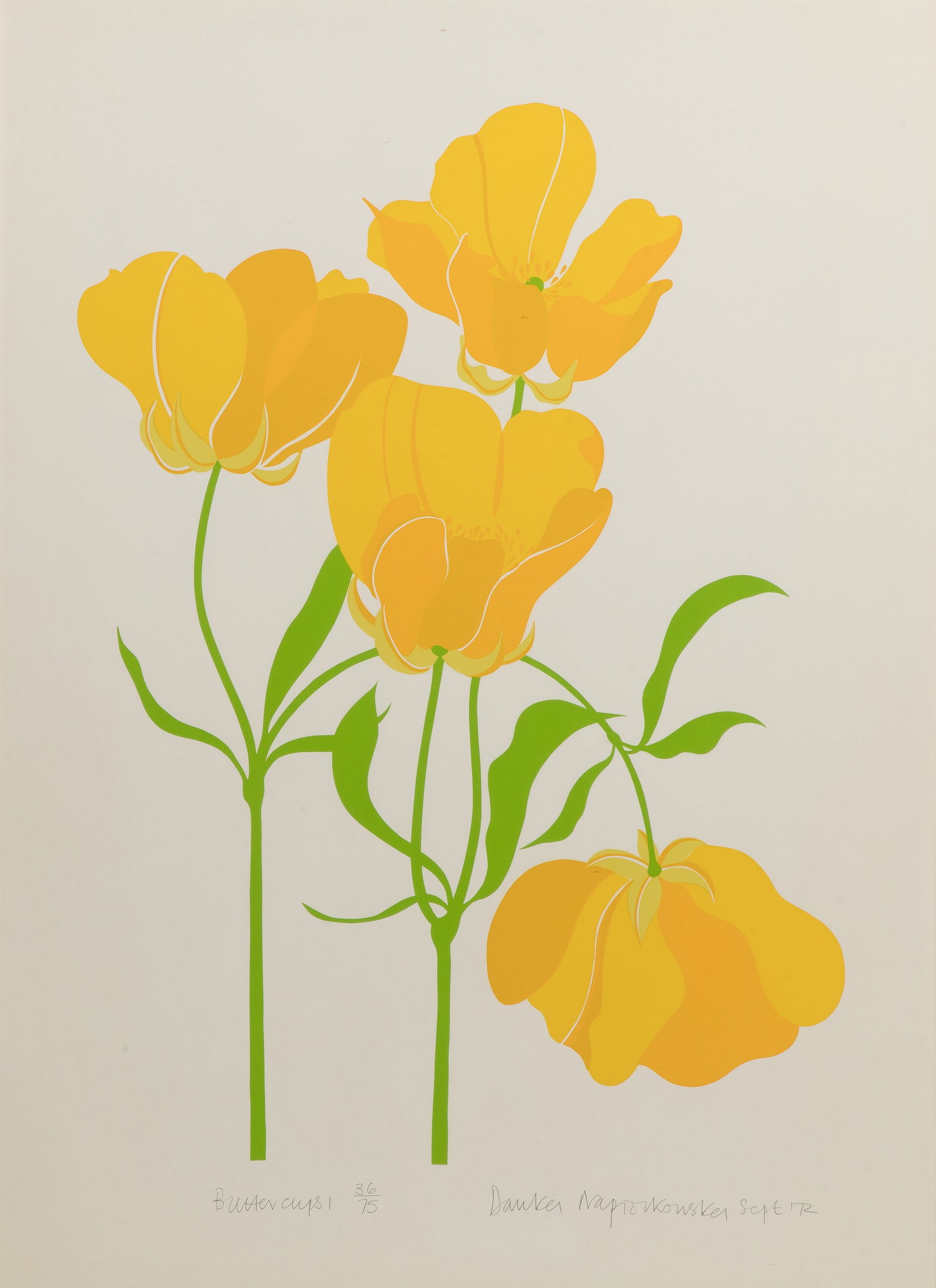 Danker Napiorkowska (British, 20th Century) 'Buttercup' Serigraph: Danker Napiorkowska (British, 20th Century) 'Buttercup' Serigraph 1972, pencil signed, dated and titled, behind glass in a metal frame Property from: an Estate, Burr Ridge, Illinois Height: 29 7/8 inc