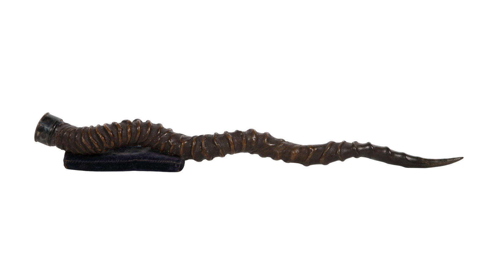 Silver Mounted Blackbuck Antelope Horn: Silver Mounted Blackbuck Antelope Horn A spiral form horn having a non-removable silver cap, a hand stitched velvet covered padded attachment of unidentified use, likely a souvenir of British Raj Crow