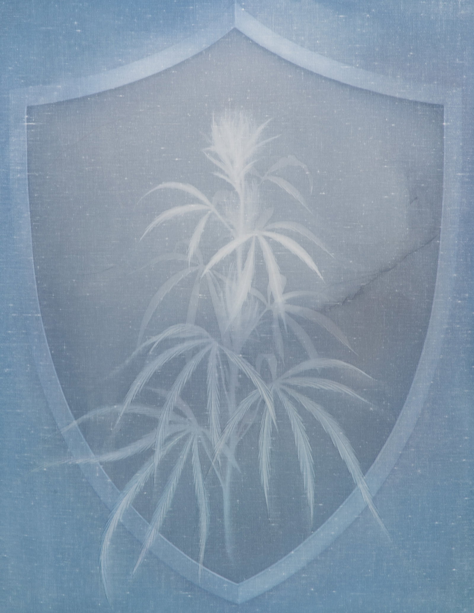 Theodora Allen (American, b.1985) 'Shield (Marijuana)' Mixed Media (1 of 4)