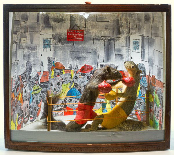 Squirrel Full Body Mount Taxidermy: Squirrel Full Body Mount Taxidermy A black squirrel and a red squirrel posed in an anthropomorphic diorama depicting the squirrels boxing; positioned inside a case having a painted backdrop Height: 20