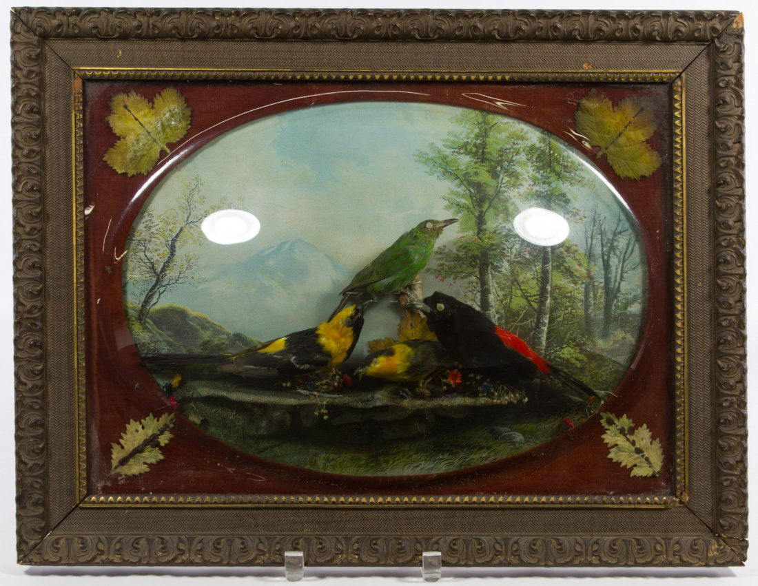 Framed Birds: Framed Birds Having four taxidermy song birds within a three-dimensional framed diorama, classical style wood frame Height: 15.50 inches, Width: 20.50 inches Category: Decorative Arts > Objects Shippi