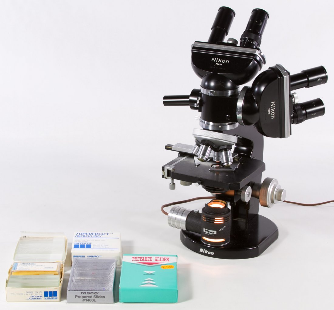 Nikon Binocular Microscope: Nikon Binocular Microscope Model #74335, produced in Japan; together with glass slides and original box Height: 16.00 inches (microscope) Category: Cameras and Electronics > Other Shipping Status: Due