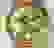 item-39843970=2