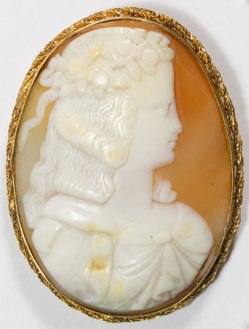 14k Gold and Carved Shell Cameo Pin: 14k Gold and Carved Shell Cameo Pin Having the profile of a lady Length: 2.25 inches, Width: 1.50 inches Weight: 11.02 dwts. (total weight) Category: Jewelry & Timepieces > 14k Gold Tax Status: Subjec