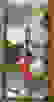 item-42419164=2