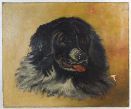 American School (19th Century) 'Dog' Oil on Canvas: American School (19th Century) 'Dog' Oil on Canvas Undated, unsigned, depicting a black faced dog with a white nose, possibly a St. Bernard; having four framing brackets labeled 'A.D.S. PAT. 1883' Hei