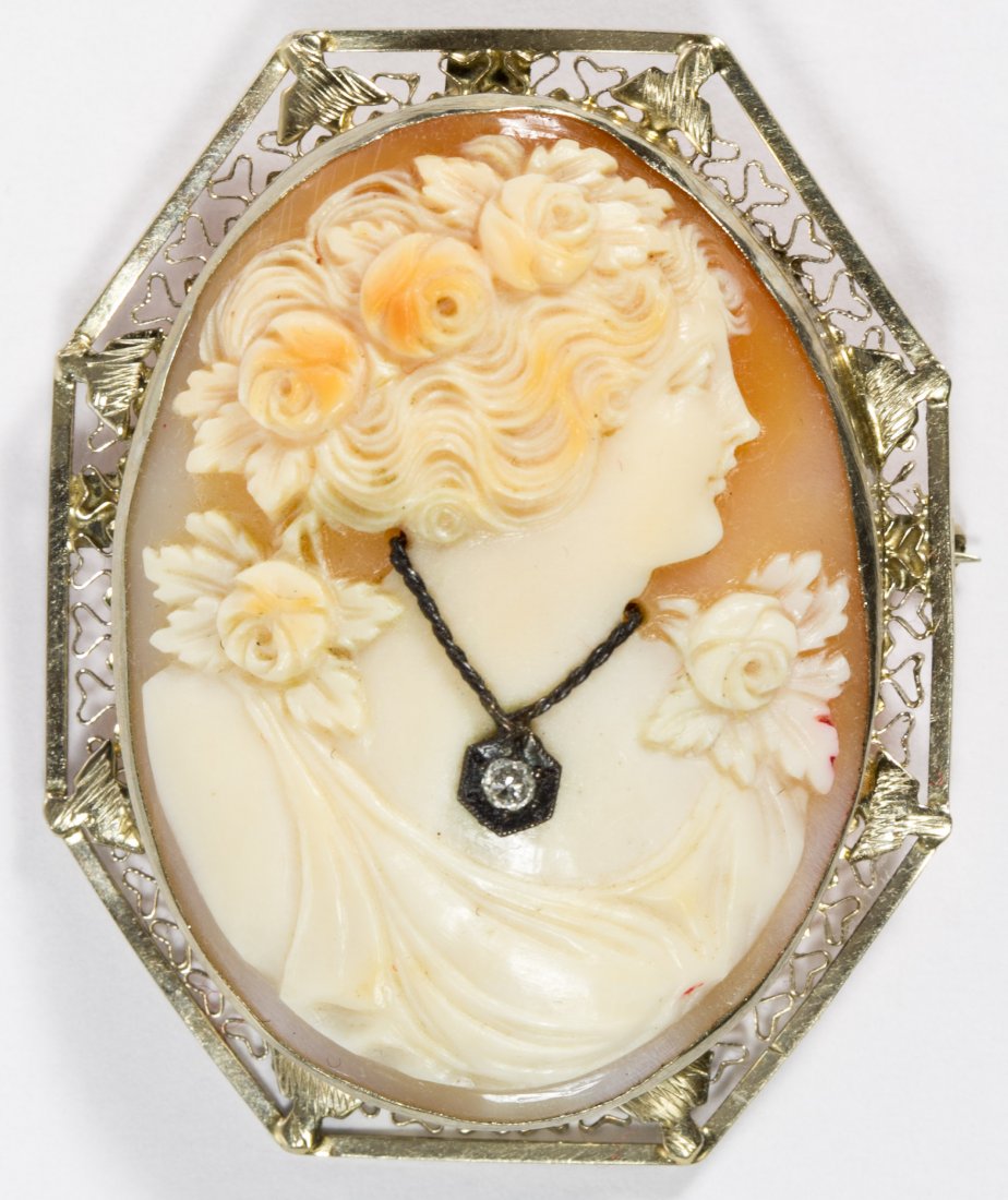14k White Gold Framed Carved Shell Cameo Pin / Pendant: 14k White Gold Framed Carved Shell Cameo Pin / Pendant Having a swing up pendant loop; lady wearing a necklace having a diamond chip Length: 1.75 inches, Width: 1.50 inches Weight: 7.30 dwts. (total w