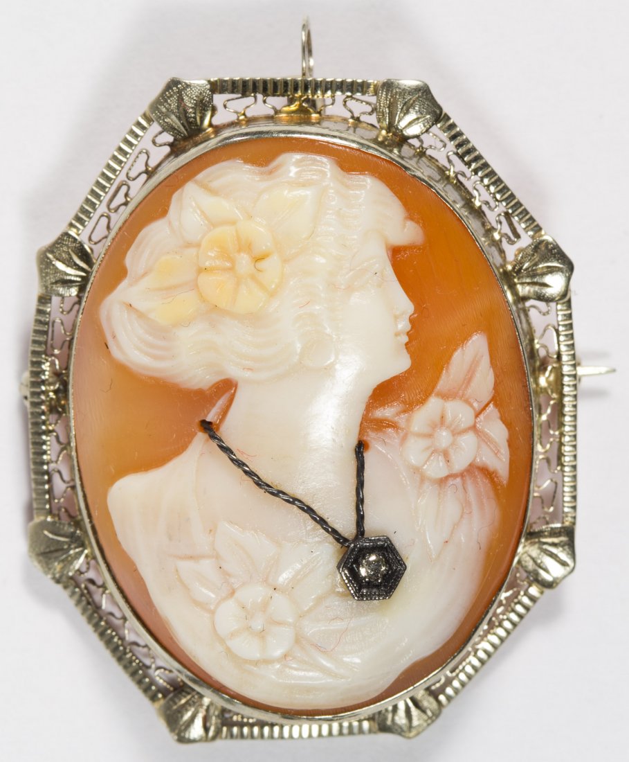 14k White Gold Framed Carved Shell Cameo Pin / Pendant: 14k White Gold Framed Carved Shell Cameo Pin / Pendant Having a swing up pendant loop; lady wearing necklace having diamond chip Length: 1.62 inches, Width: 1.25 inches Weight: 5.57 dwts. (total weigh