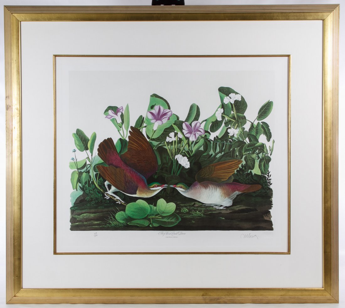 M. Bernard Loates (Canadian, b.1945) 'Key West Quail: M. Bernard Loates (Canadian, b.1945) 'Key West Quail Dove' (After) Audubon Print 1987, signed lower right, numbered 859/1000, depicting birds and flowers, embossed JJA mark in lower left Height: 22.50