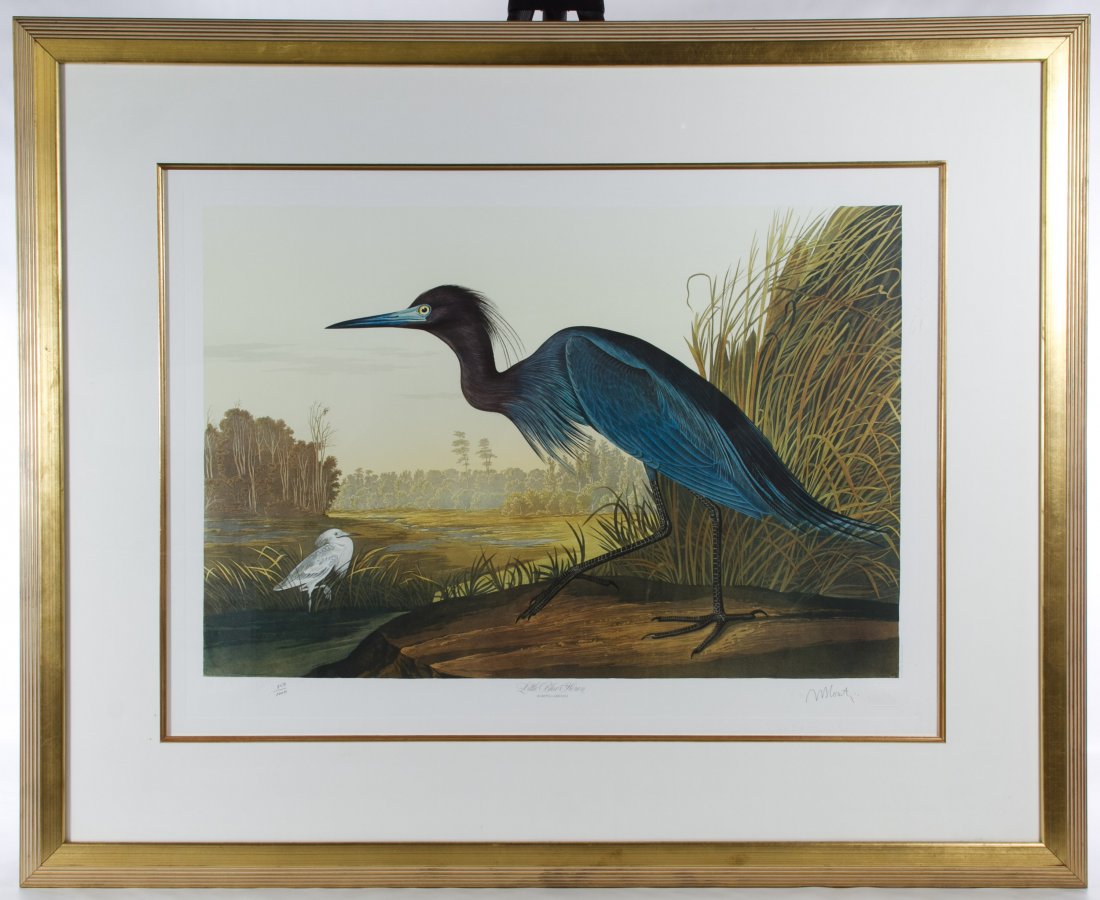 M. Bernard Loates (Canadian, b.1945) 'Little Blue: M. Bernard Loates (Canadian, b.1945) 'Little Blue Heron' (After) Audubon Print 1987, signed lower right, numbered 859/1000, depicting a bird in marsh grass; having the 'JJA' embossed mark in the lower
